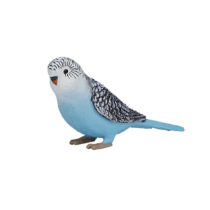 مرغ عشق موجو 387292