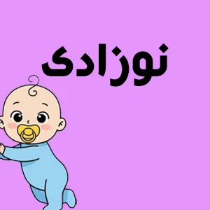 سیسمونی و نوزادی اسباب بازی ژوبین میرزای شیرازی بهترین اسباب بازی در تهران